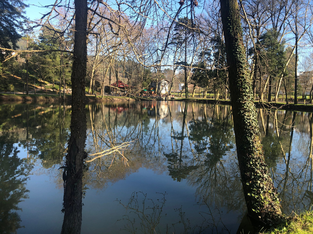 Parque das Termas景点图片