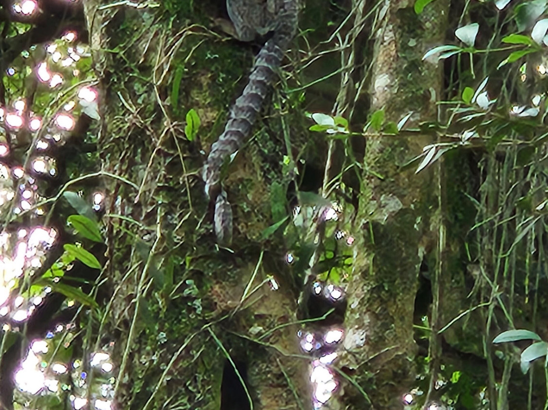 Portaria Horto Florestal-圣保罗必去景点
