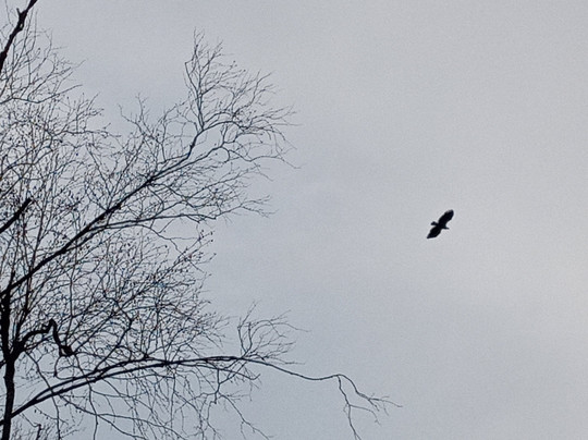 True Nature Sweden-斯德哥尔摩必去景点