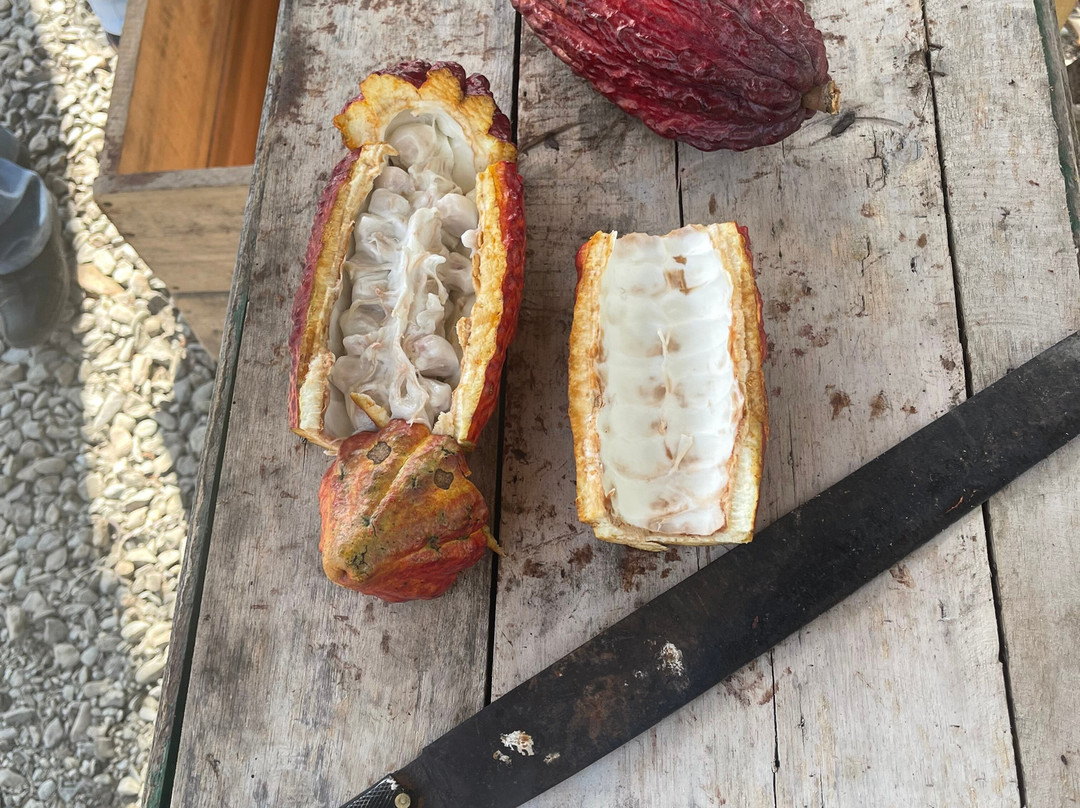 Finca la Alejandra-Montenegro必去景点