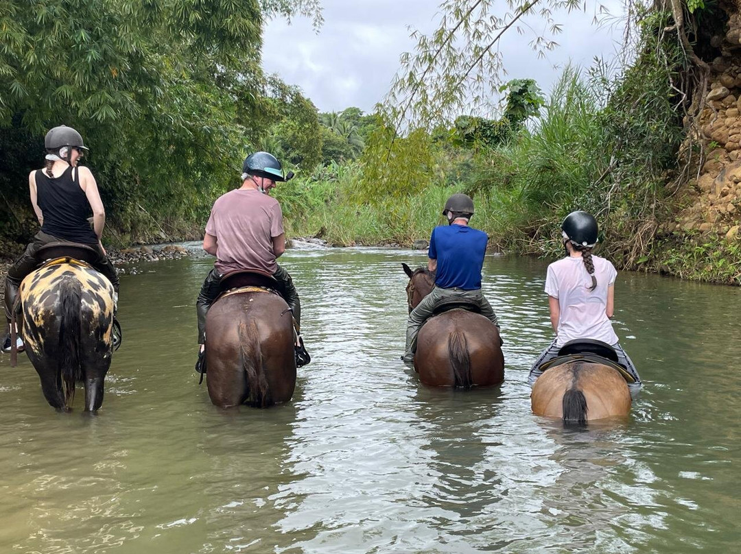Ranch de Moreau-Goyave必去景点