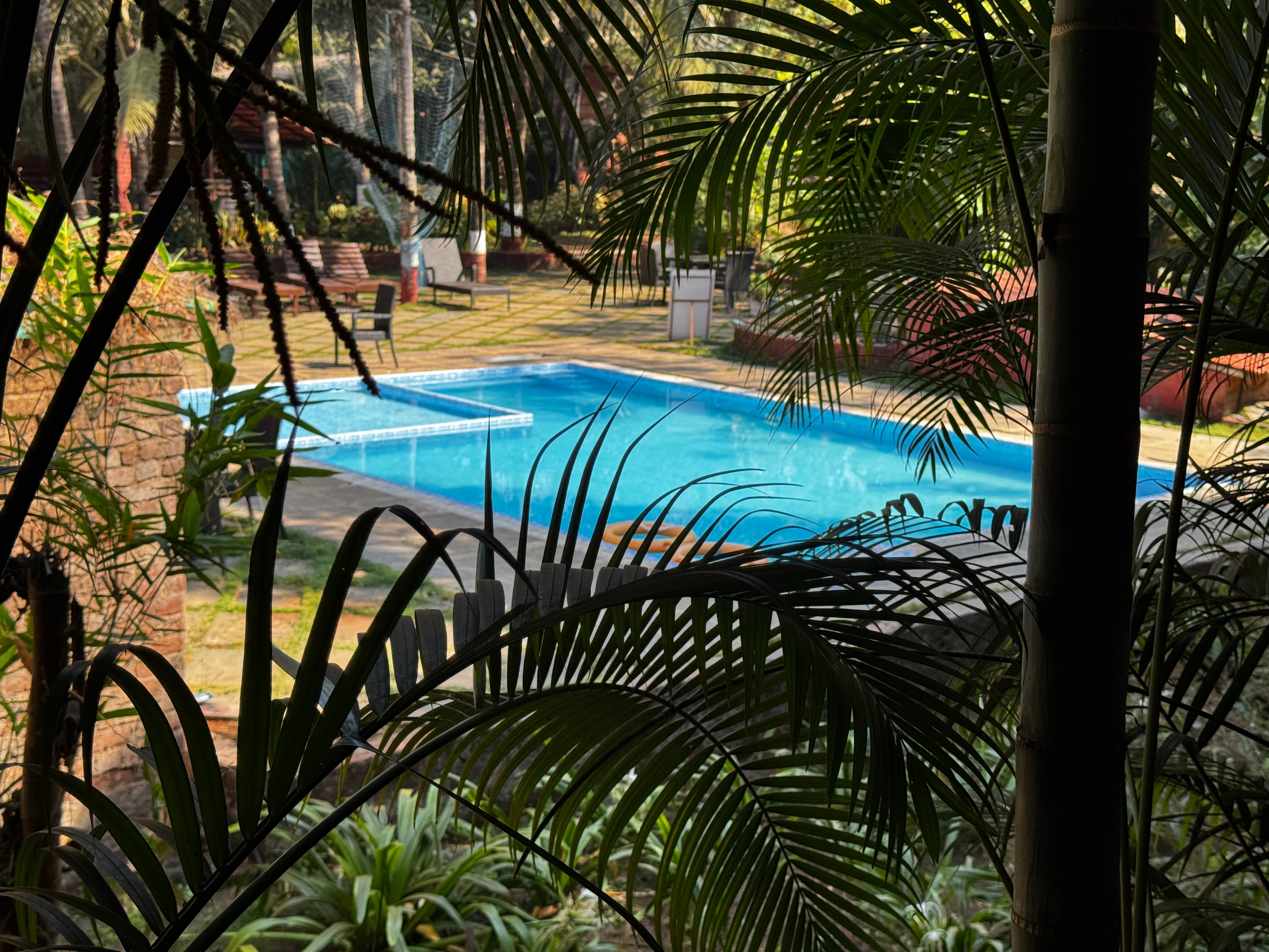 Lotus Eco Beach Resort Murud-Dapoli-泳池