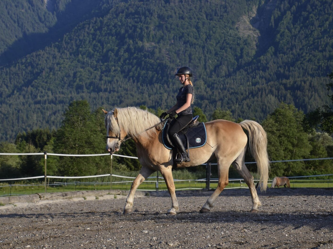 Bio Bauernhof Knaller主图