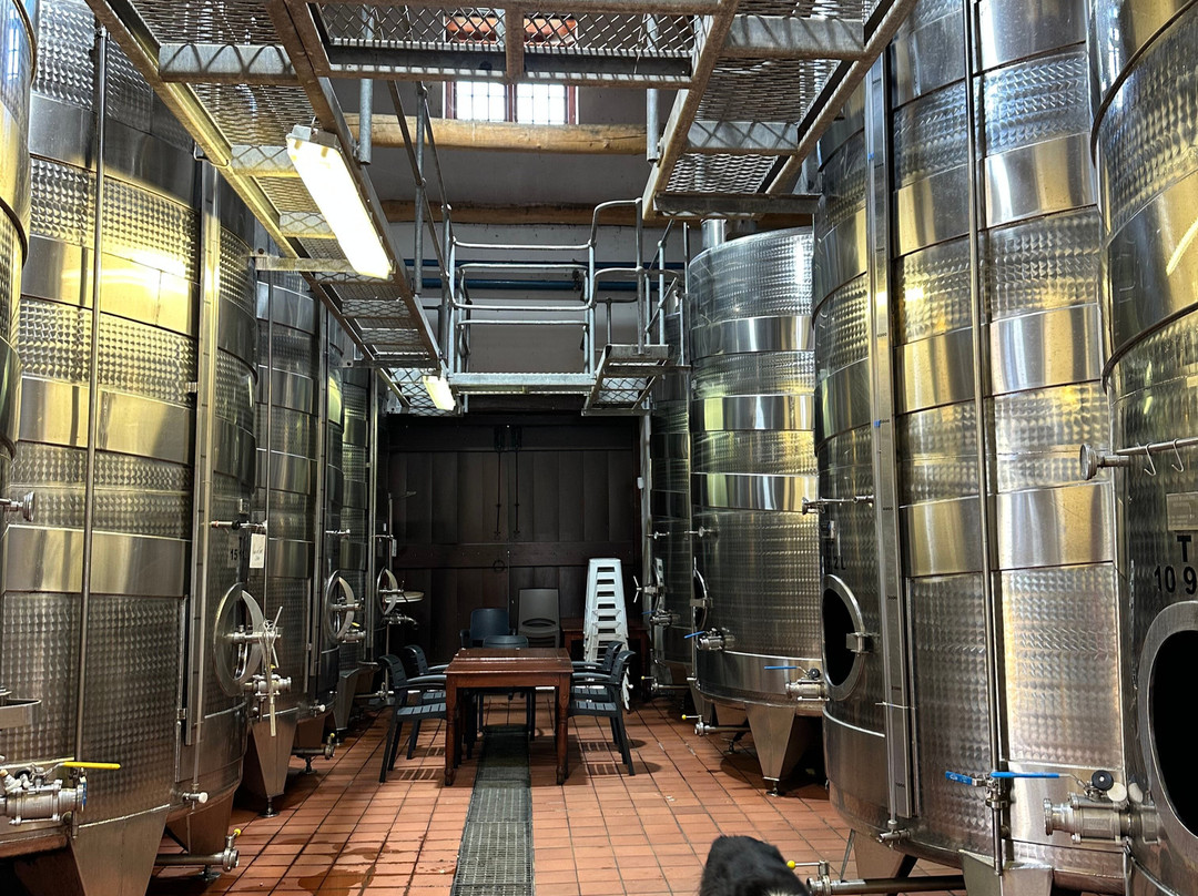 Groote Post Winery-Darling必去景点