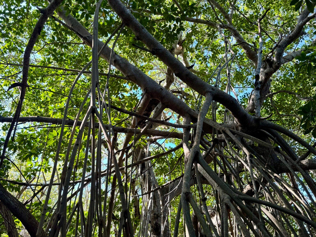 MAYA QUEST Travel & Tours-巴利亚多利德必去景点