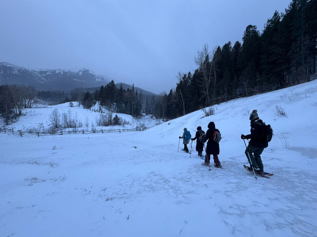 Uplift Adventures-科尔曼必去景点