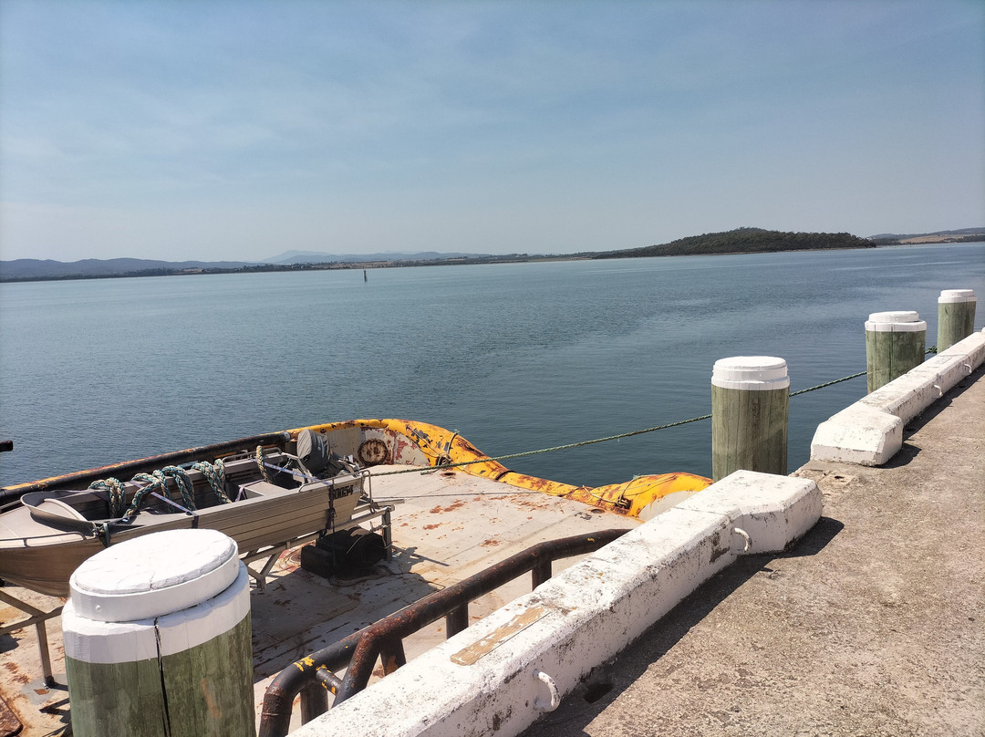 Platypus House-Beauty Point必去景点