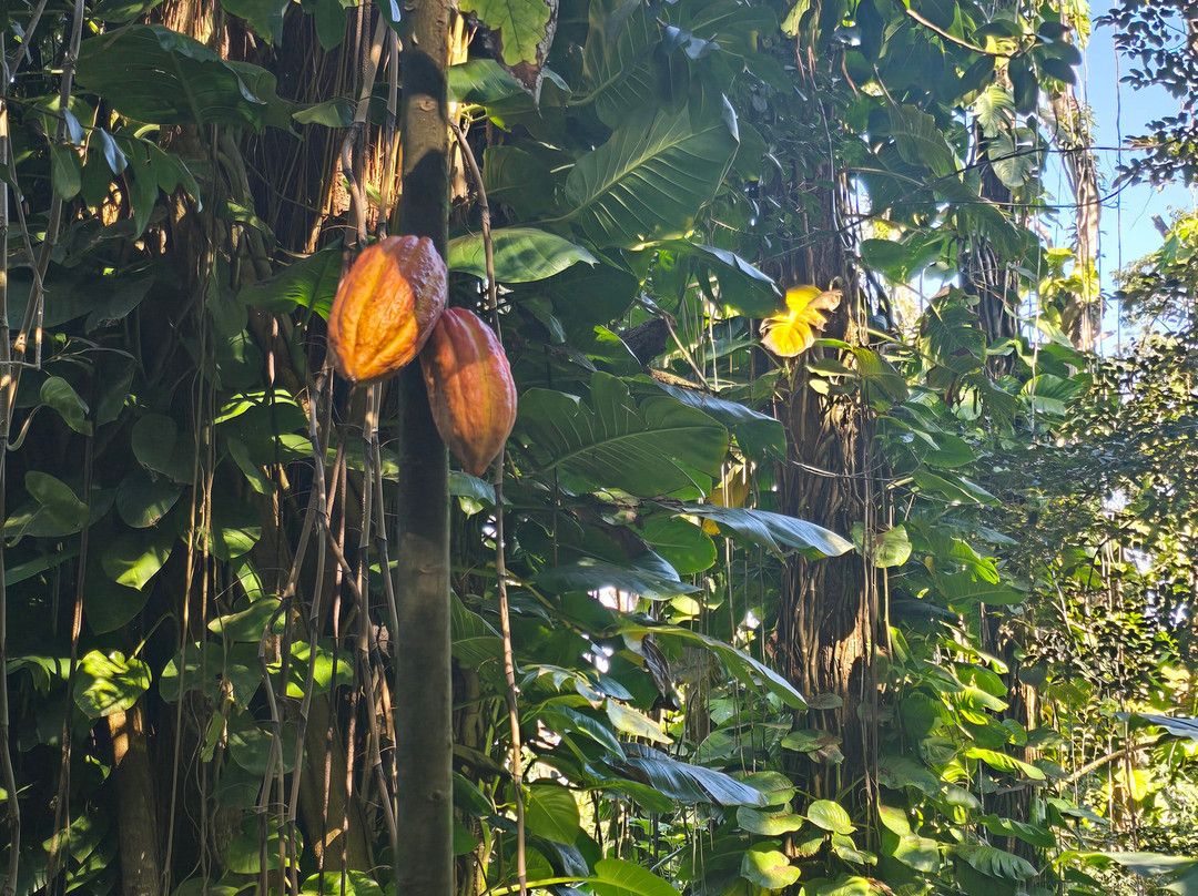 The Kings Gardens Maui-Huelo必去景点