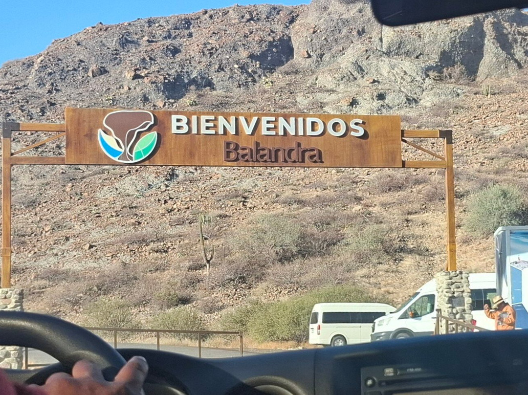 Luvis Tours-卡波圣卢卡斯必去景点