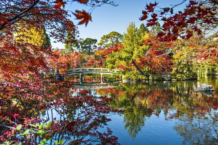 Raphael Tours and Experiences in Tokyo and Japan-千代田区必去景点