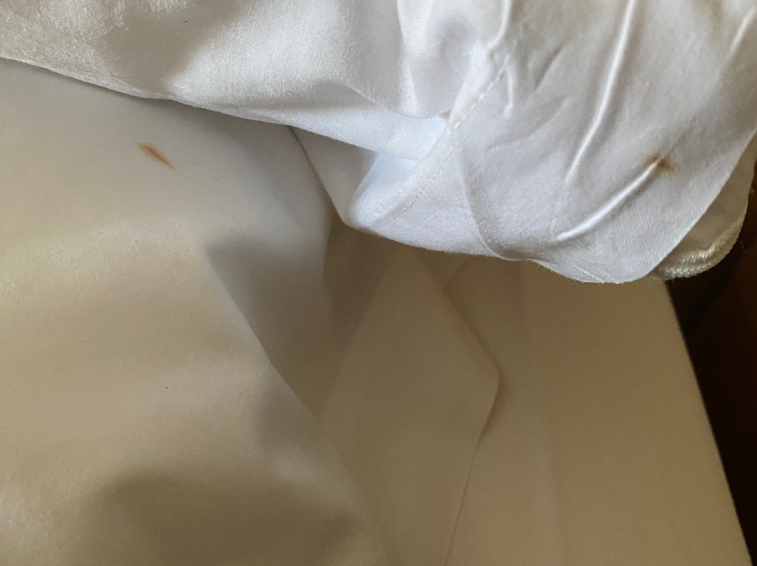 Hotel Balneario de Lanjaron主图