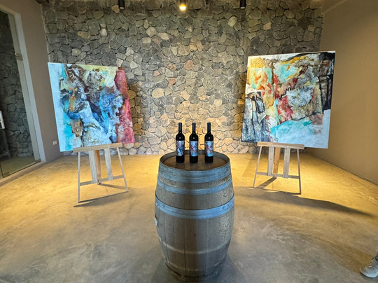 Borravino Wine Tours Salta-萨尔塔必去景点