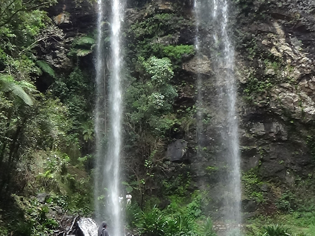 Twin Falls-春之泉必去景点