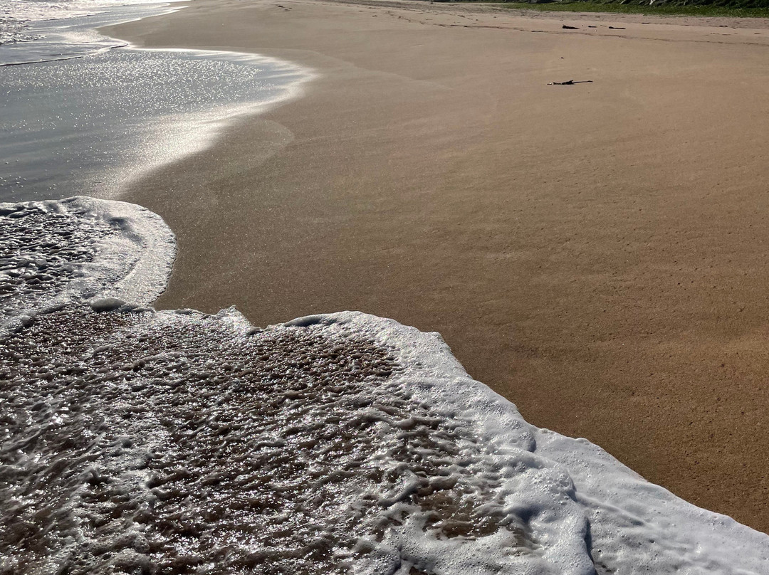 海龟湾大酒店主图