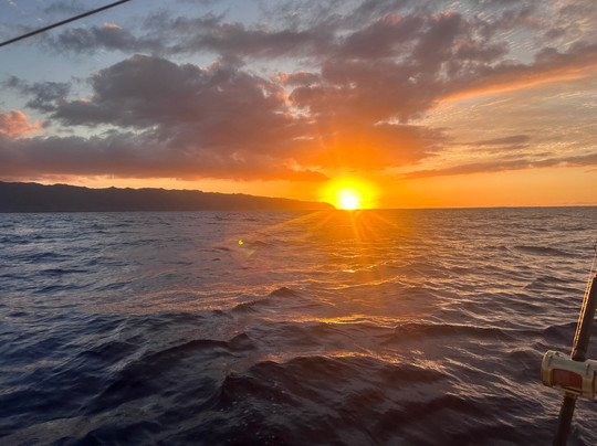 Hawaii Ocean Adventure Tours-哈雷瓦必去景点