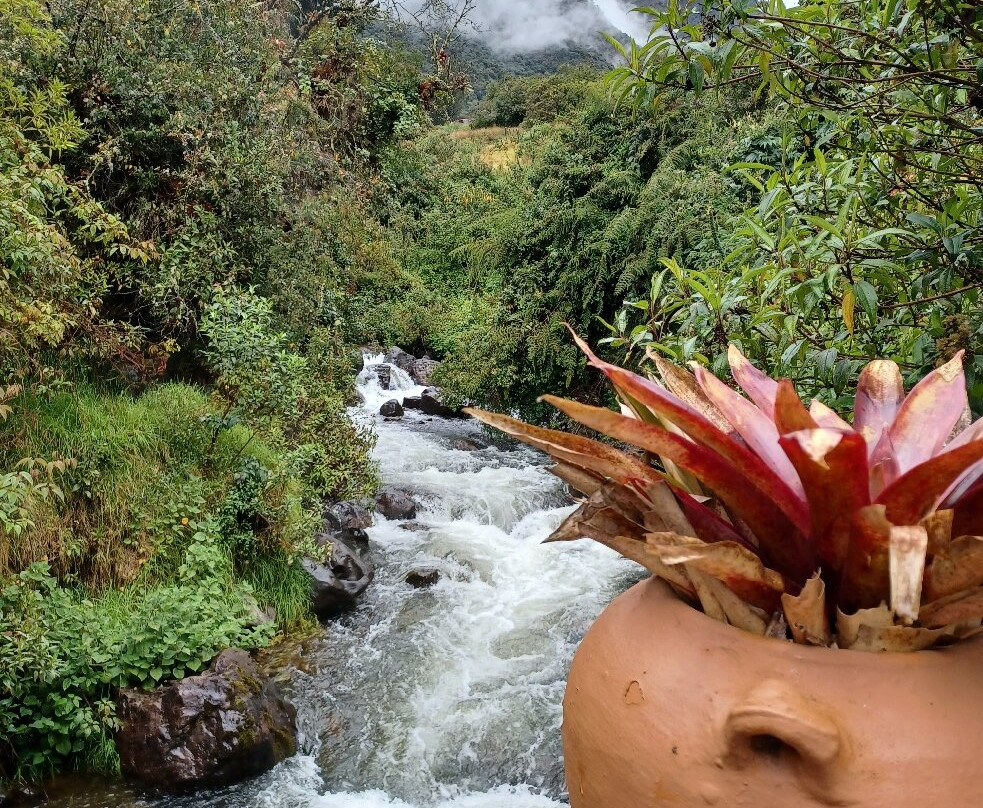 Touring Ecuador景点图片