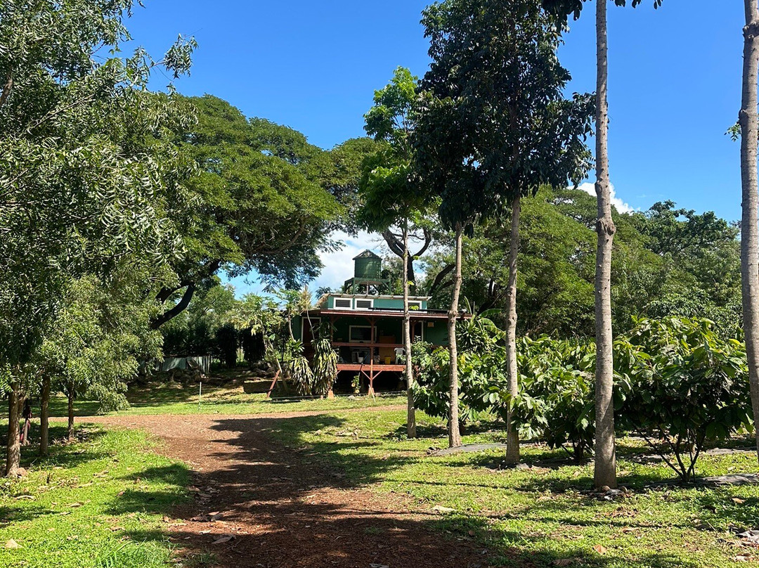 Manoa Chocolate Hawaii-科纳必去景点