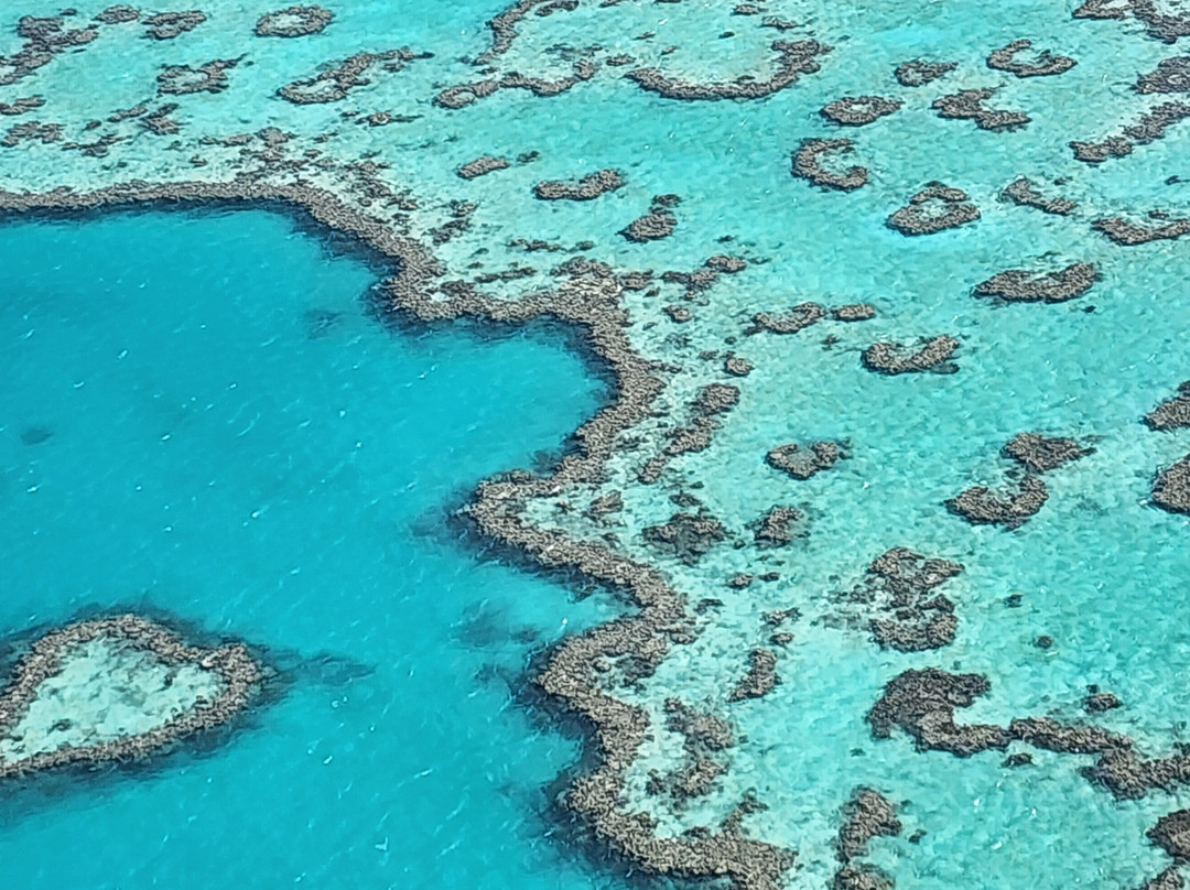 Fly Australia Charter景点图片