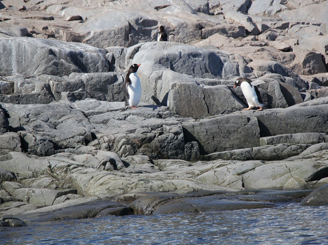 Penguin Post Office-Port Lockroy必去景点