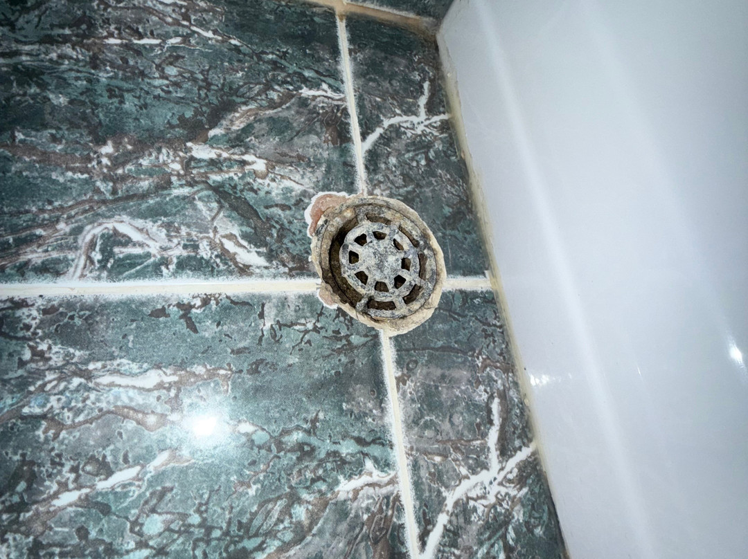 St. George Hotel主图