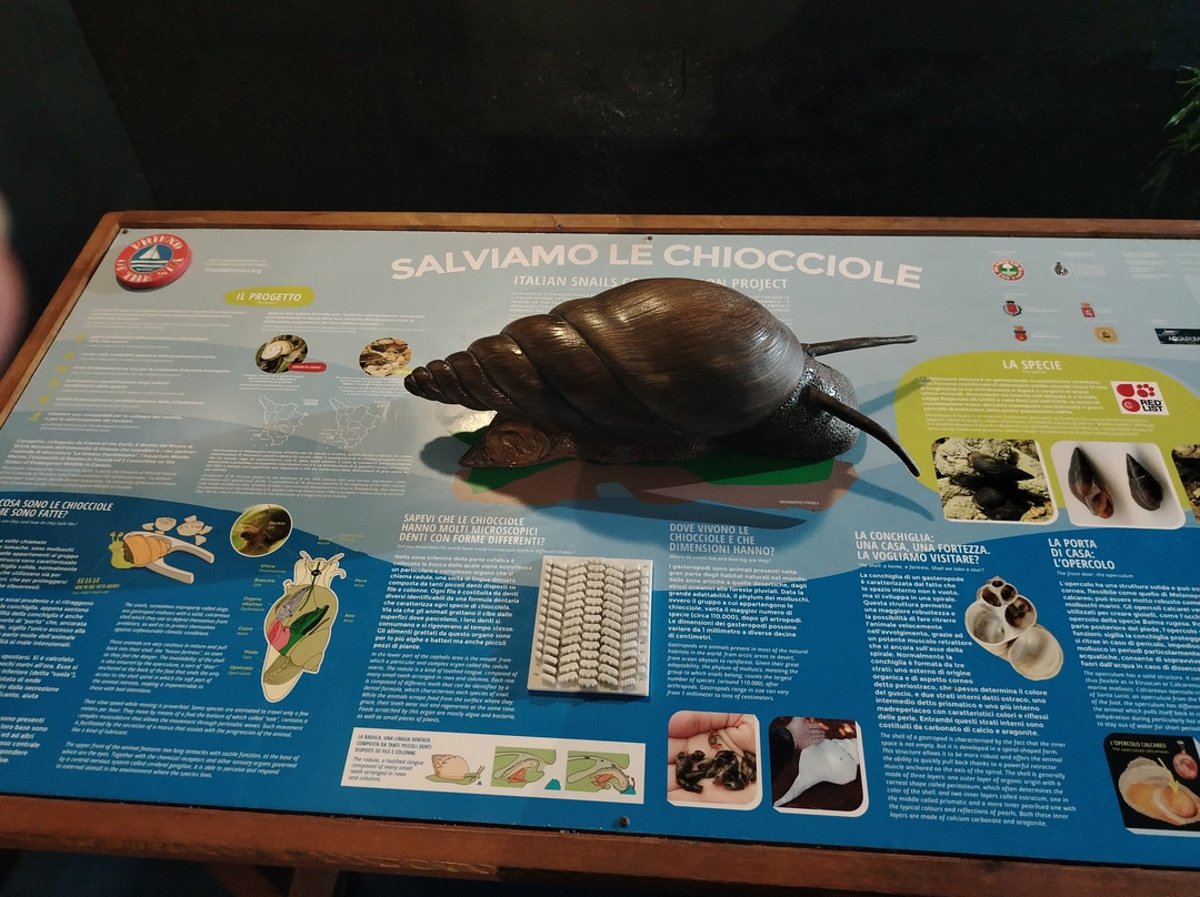 Aquarium Mondo Marino景点图片