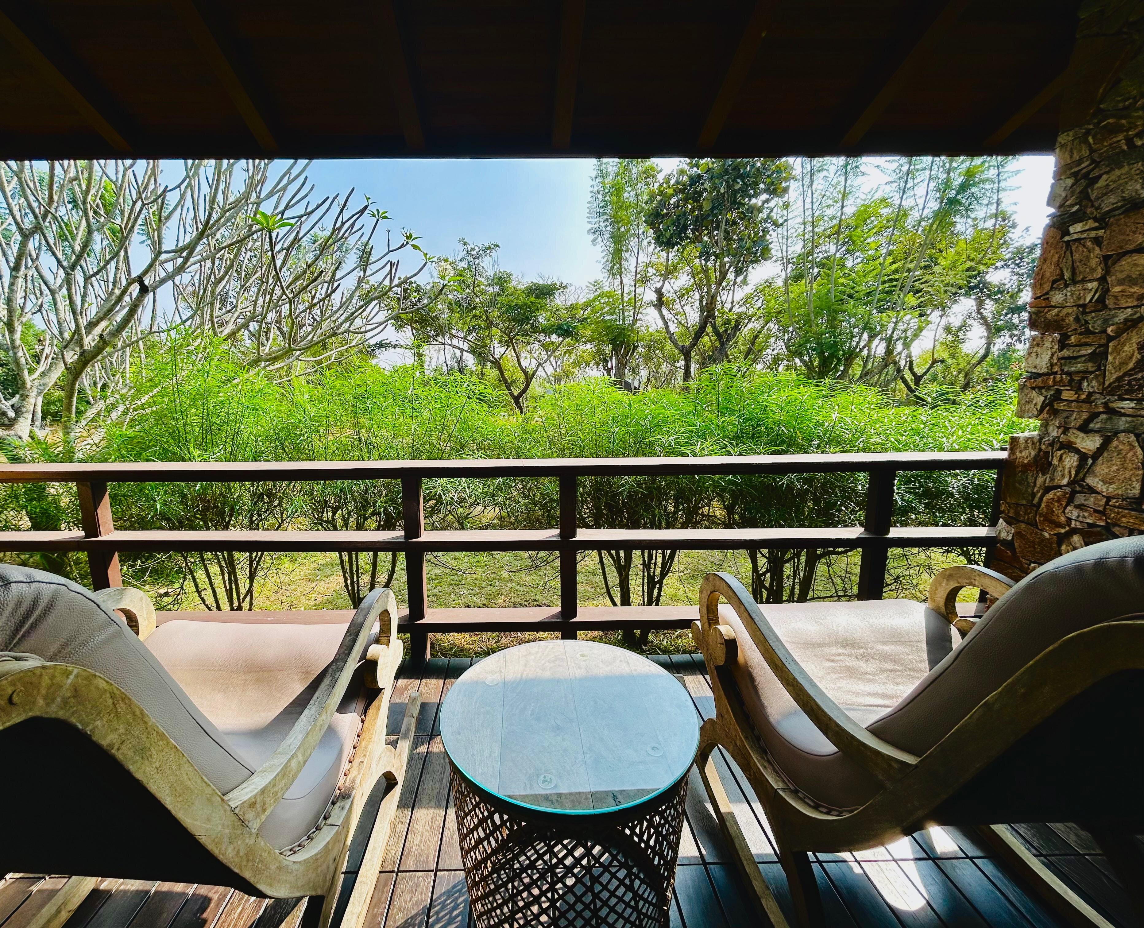 The Serai Bandipur-酒店景观