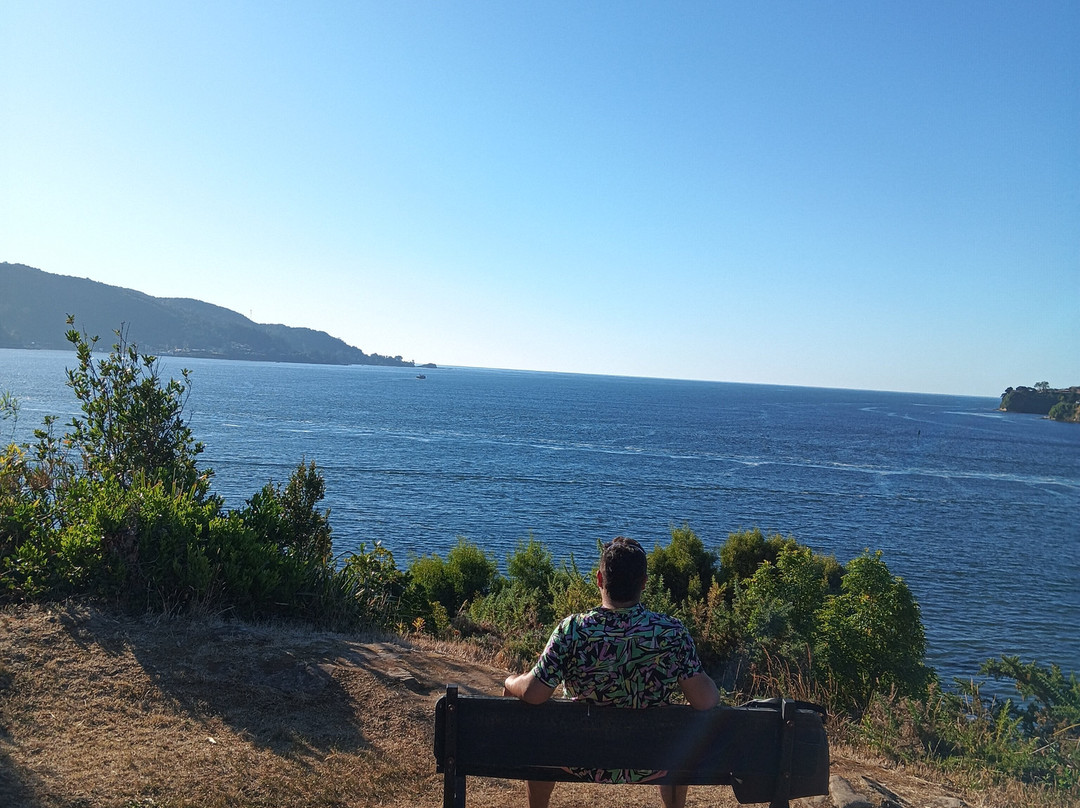 Isla Mancera-瓦尔迪维亚必去景点