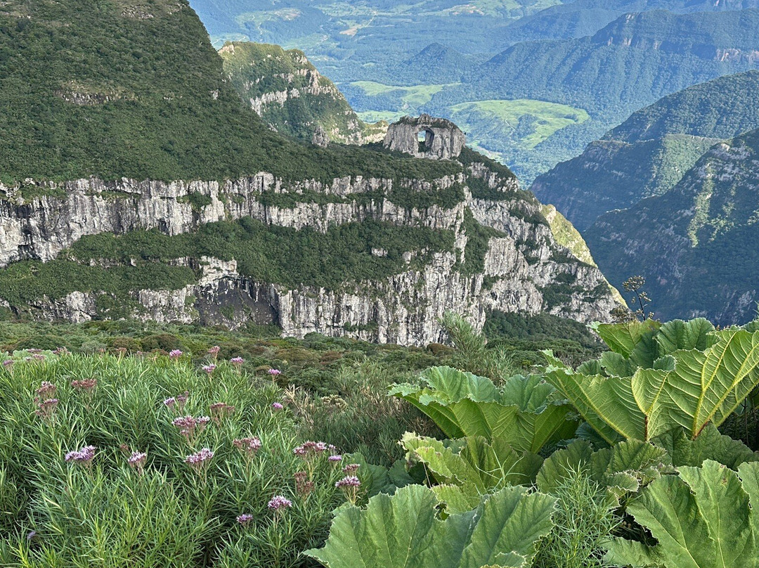 São Joaquim National Park-Urubici必去景点