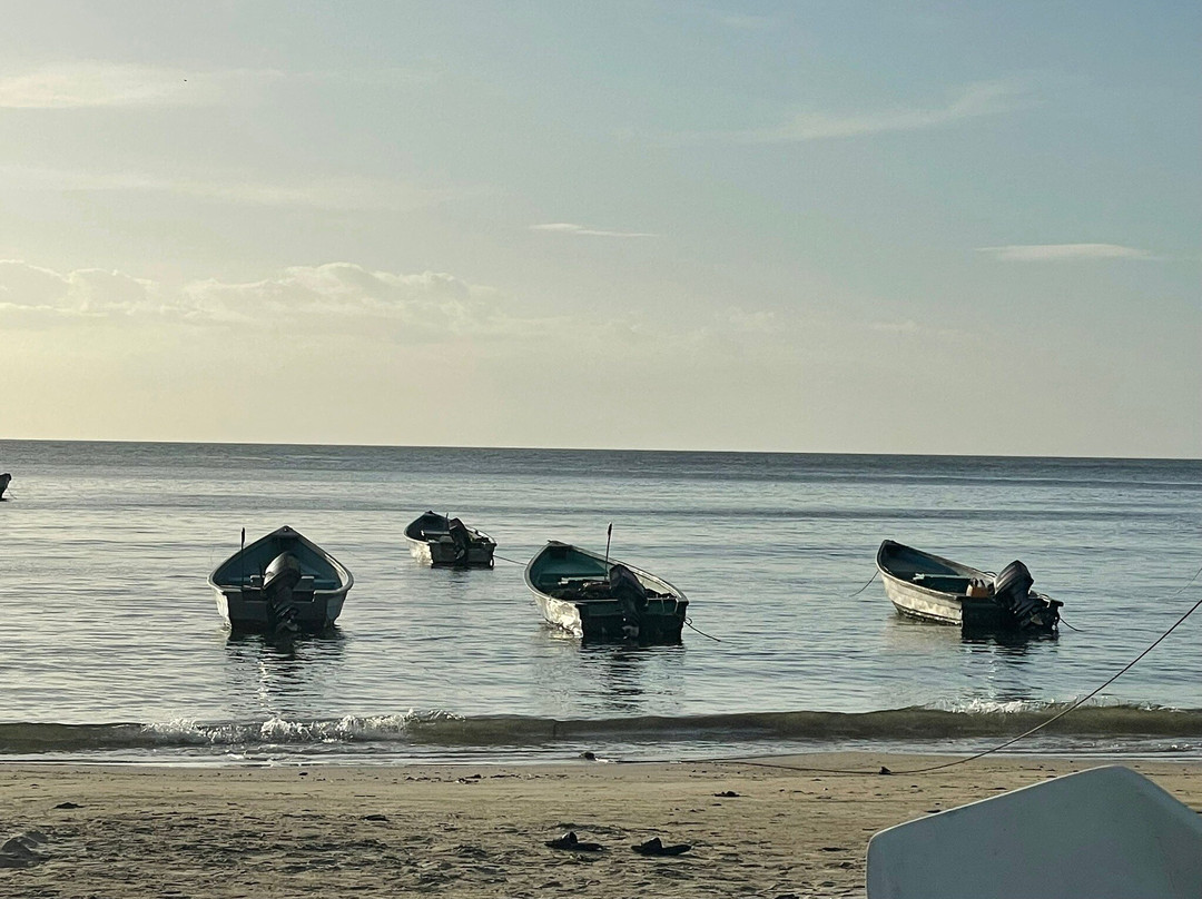 Las Cuevas Beach-特立尼达必去景点