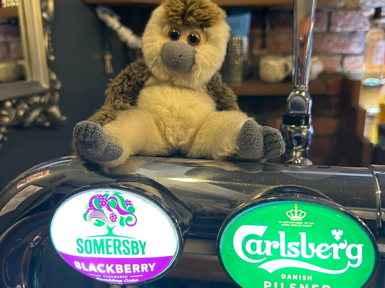 The Palatine-莫克姆必去景点