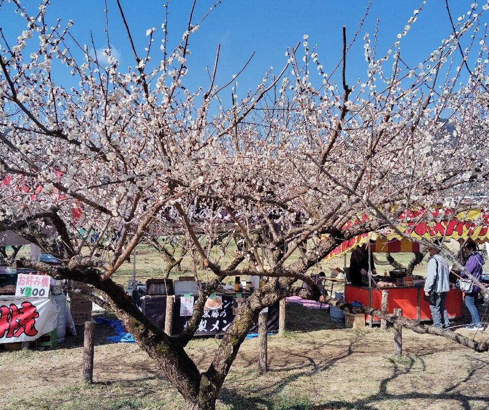 Ogose Bairin-越生町必去景点