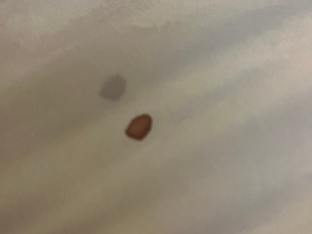 Clarion Inn Garden City主图