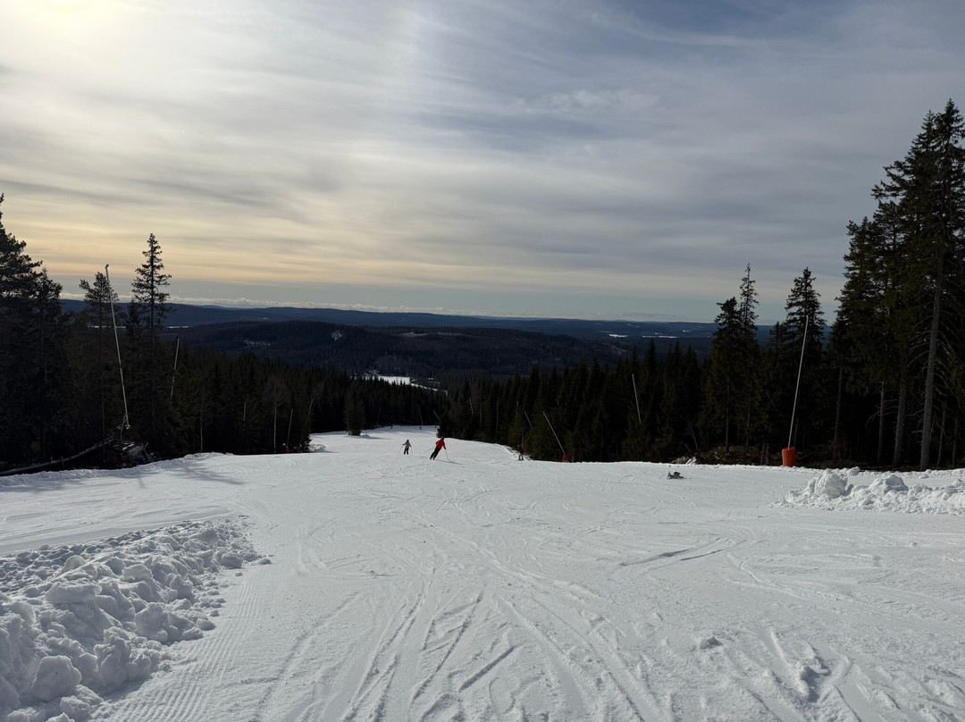 Romme Alpin-Borlange必去景点