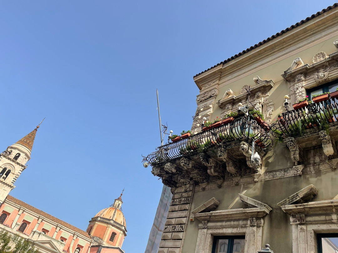 Palazzo Municipale景点图片