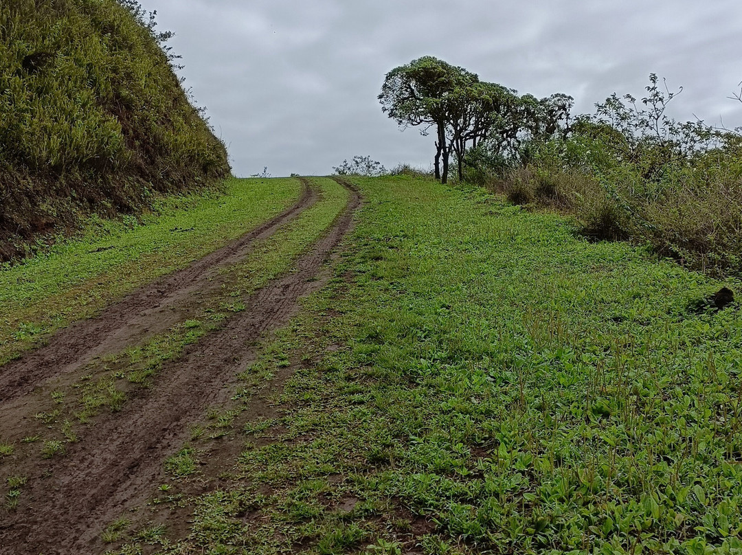 Cerro Mesa-阿约拉港必去景点