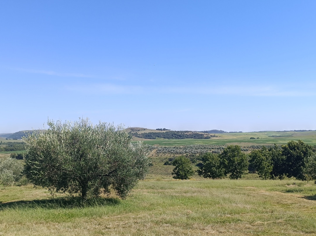 Azeites Ouro de Sant'Ana-Santana do Livramento必去景点