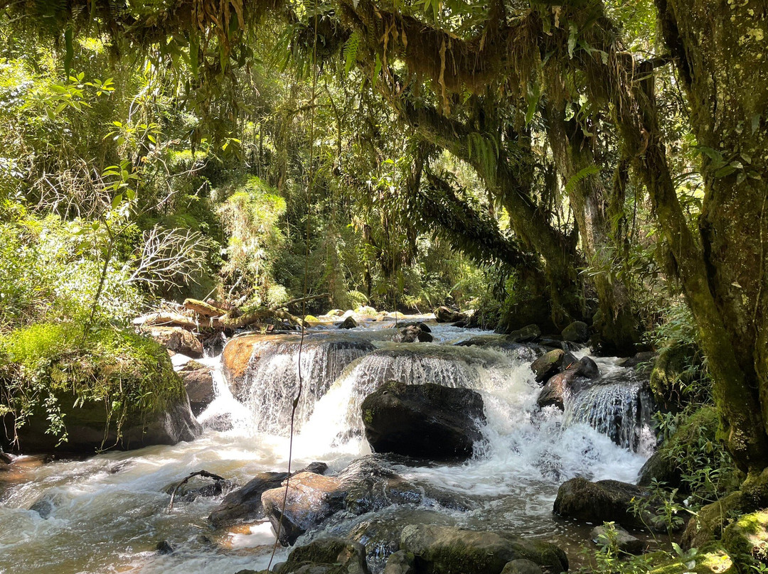 Trilha das Corredeiras do Itapuá-蒙特贝尔德必去景点