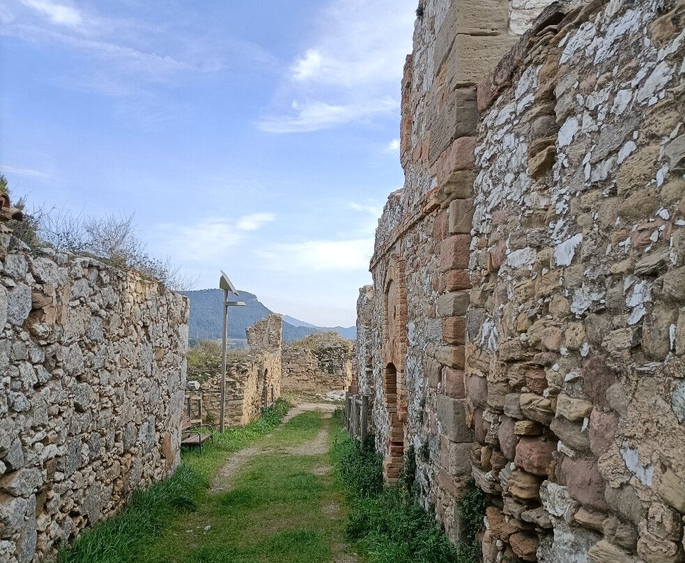 Castell D'òdena-Odena必去景点