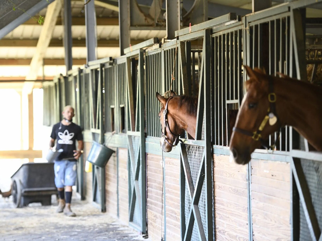 Hacienda Siesta Alegre主图