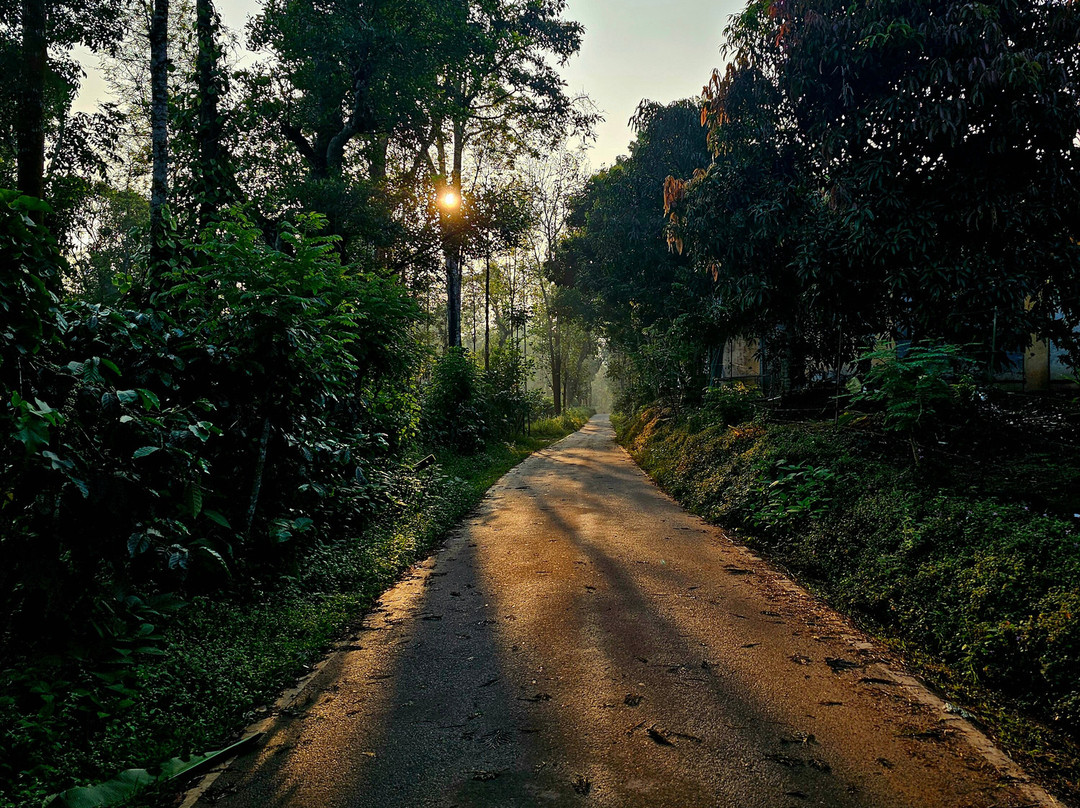 Evolve Back, Coorg主图