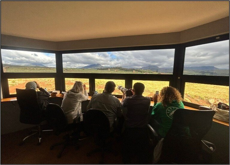 Mzimkulu Vulture Hide-安德堡必去景点