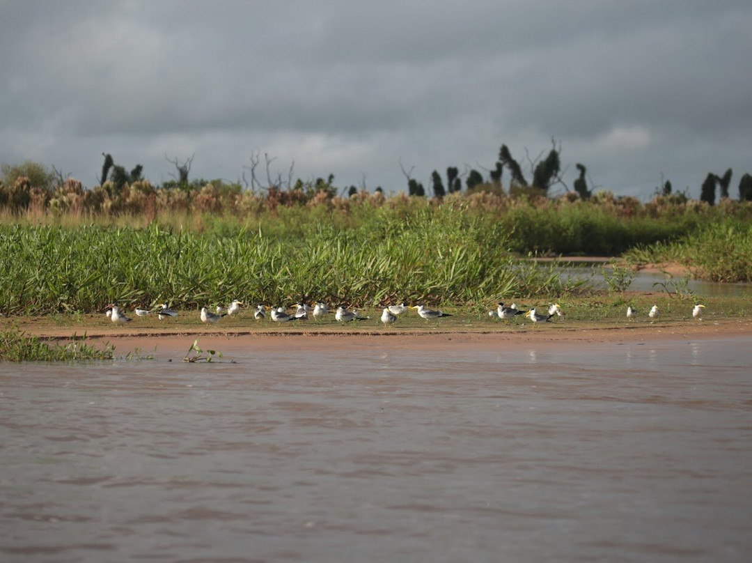 Rio Taquari-Coxim必去景点