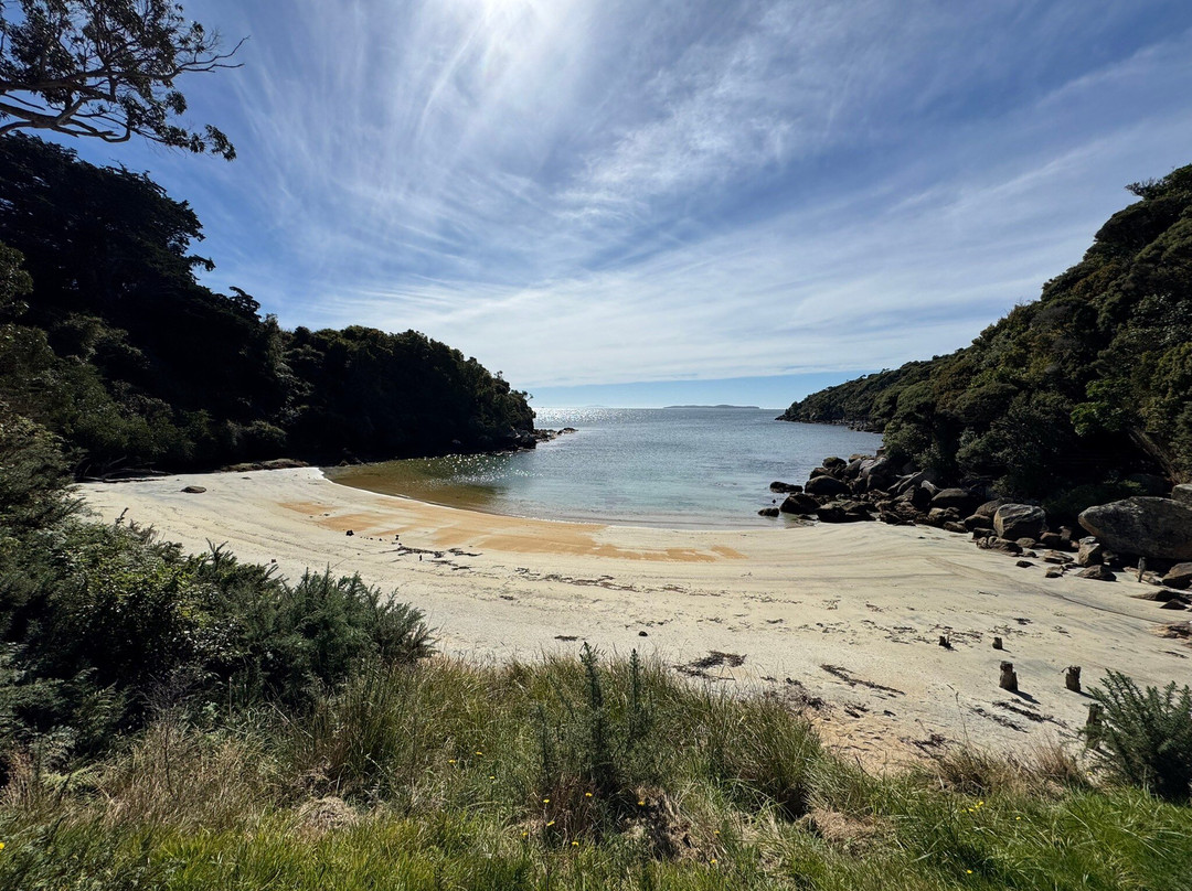 Stewart Island Electric Bikes景点图片