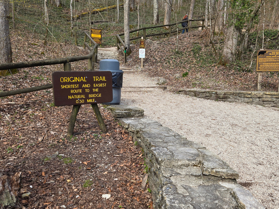 Natural Bridge State Resort Park - Lodging