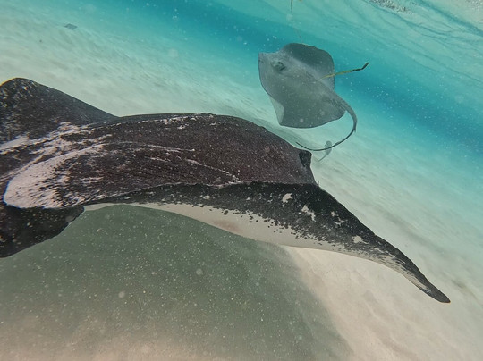 Mainstay Sailing-西湾必去景点