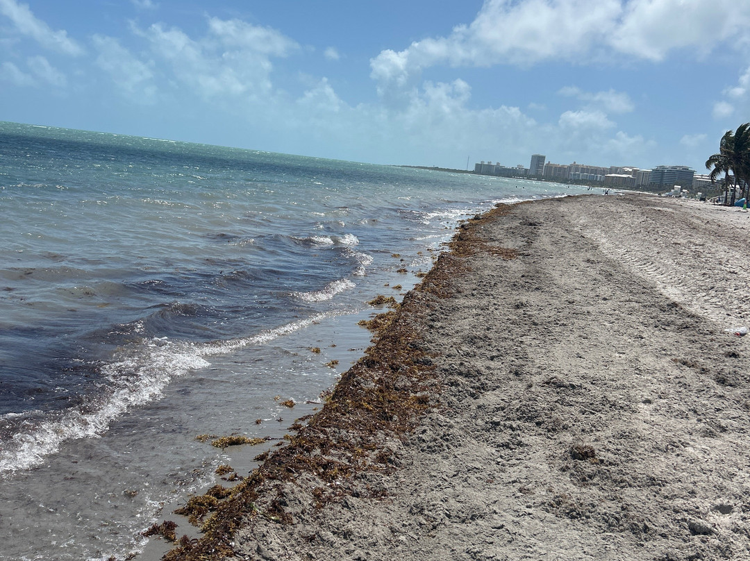 Crandon Beach-比斯坎湾必去景点