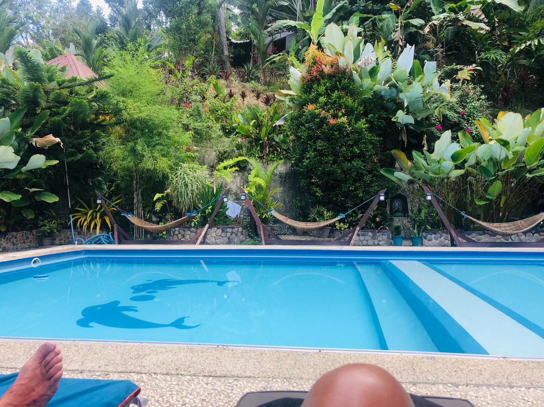 Dheltor Hilltop主图