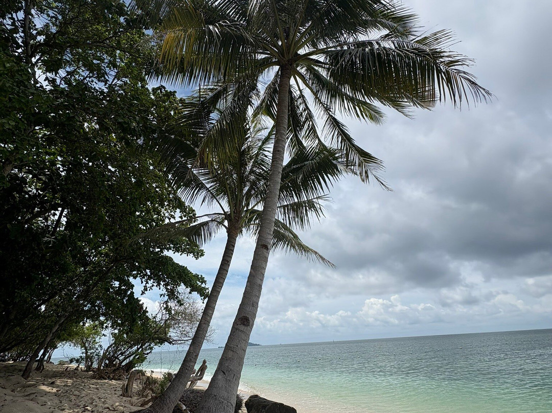 Selingan Turtle Island主图