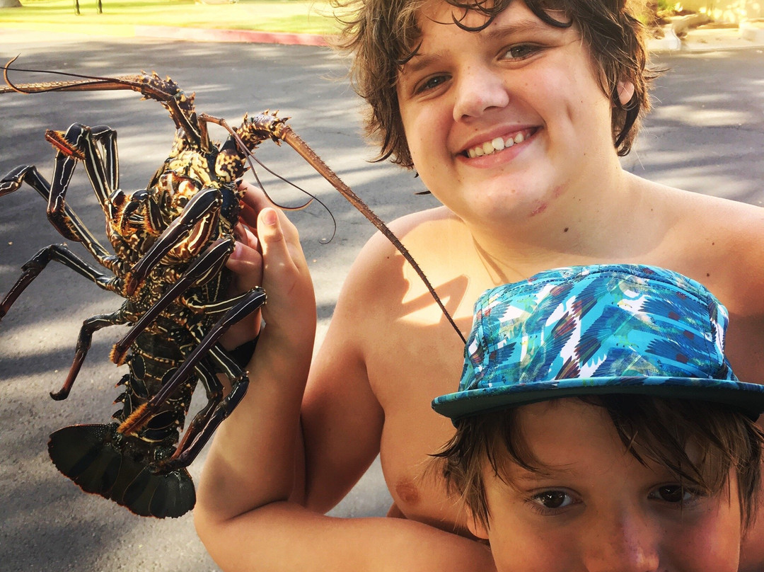 Maui Easy Riders-芭雅必去景点