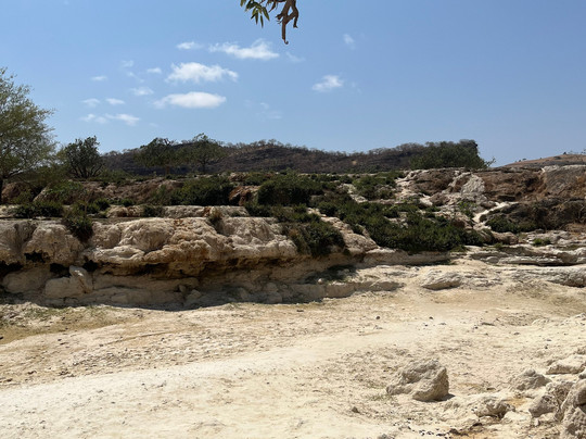 Salalah adventure tours-塞拉莱必去景点